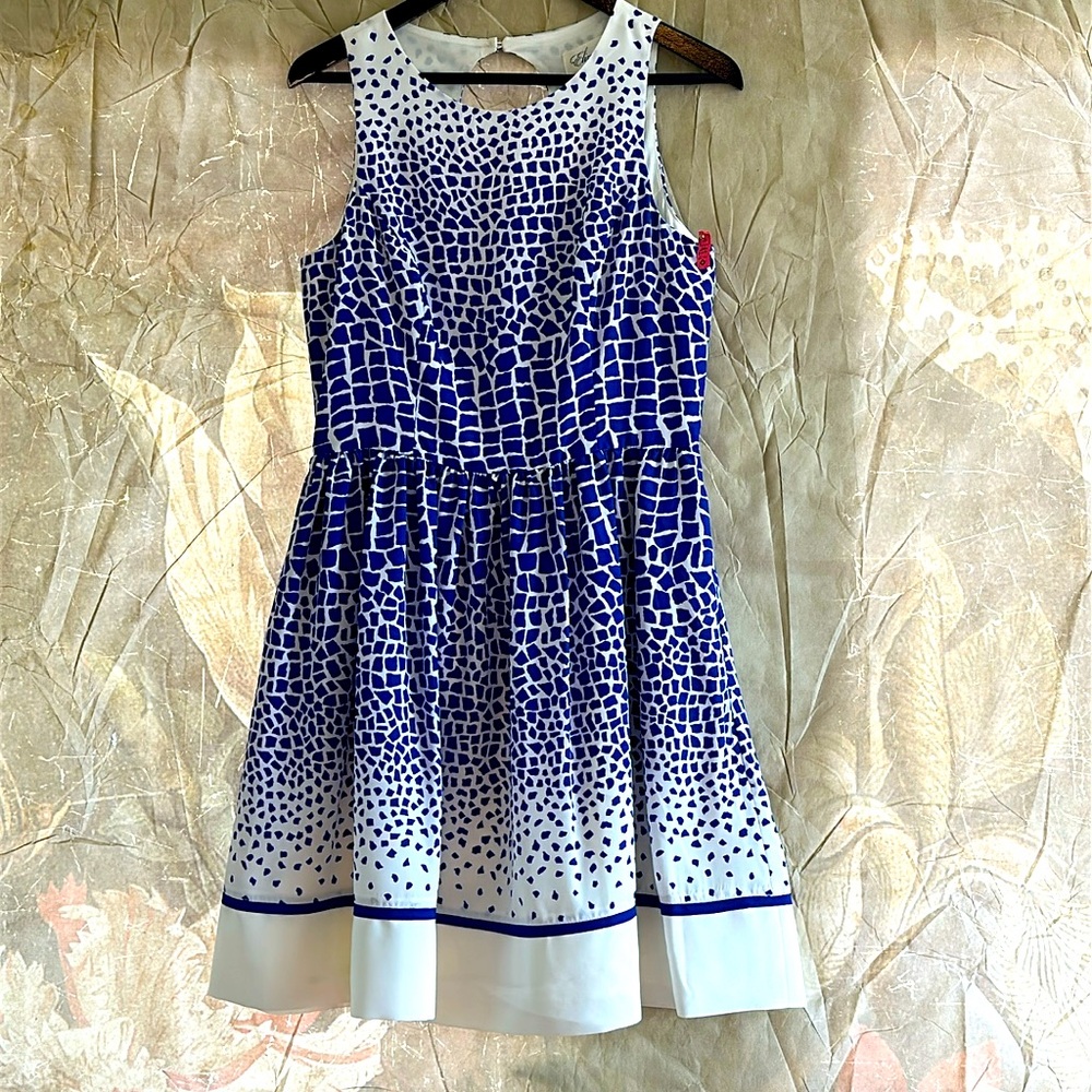 ELIZA J Blue and White A-line dress